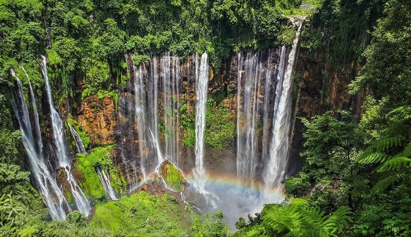 Tebing Nirwana Dari Jawa Timur Eksplorasi Keindahan Wisata Terbaru