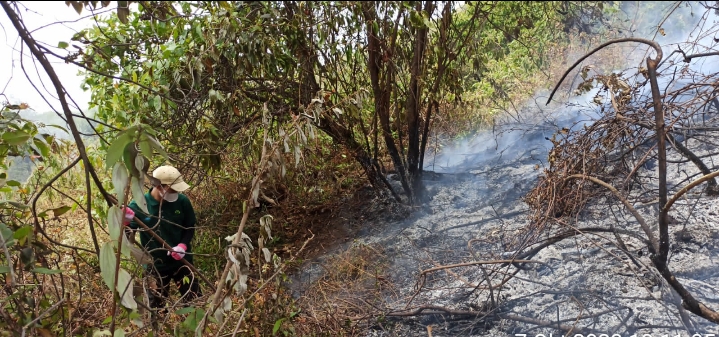 Angin Kencang, Kebakaran Hutan Gunung Slamet Belum Padam