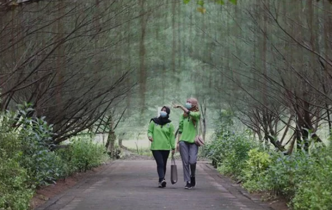 Wisata Terbaru 2024 Hutan Paling Sejuk di Surabaya? Nikmati Sensasi Kesejukan Alami di Tengah Suasana Kota