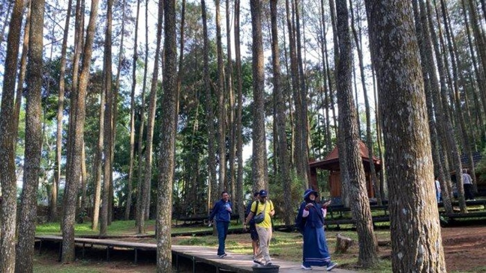 Pokdarwis Keluhkan Kunjungan Wisatawan ke Mangunan Terus Menurun, Begini Penyebabnya