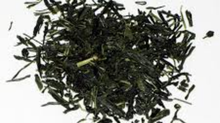 Lebih dari Sekadar Matcha, Ini Rekomendasi Varian Teh Hijau Jepang Paling Lezat