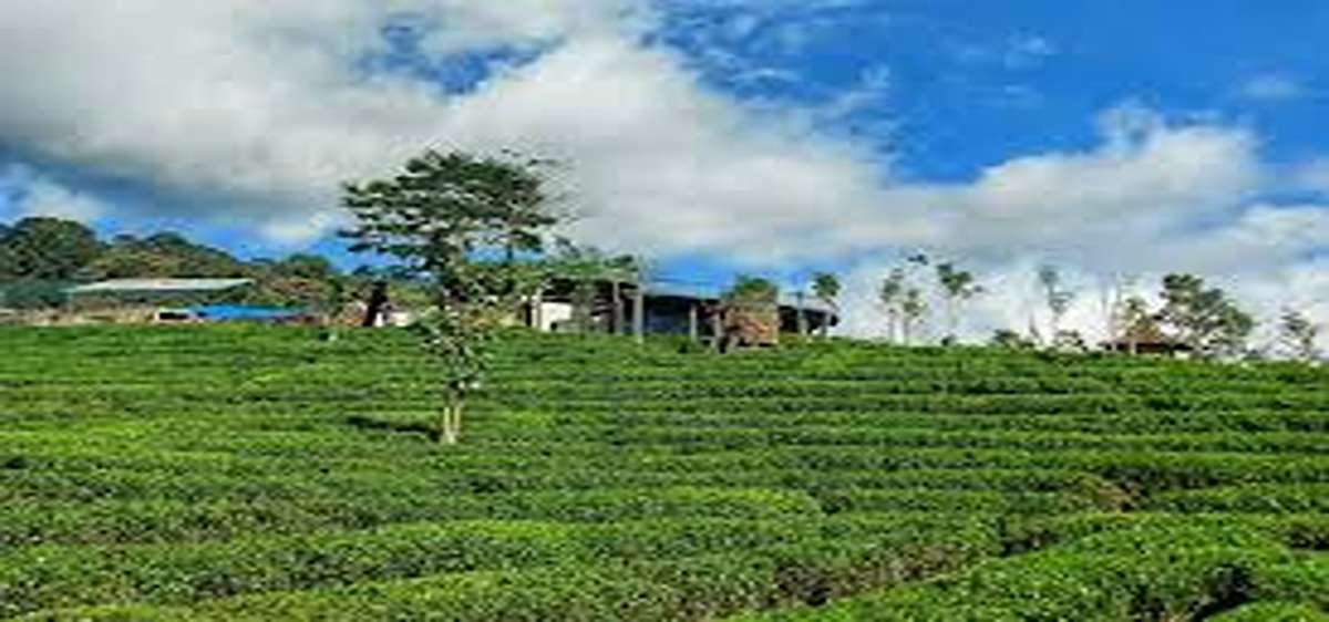 Liburan Dijamin Seru! Jelajahi Wisata Terbaru Kulon Progo, Murah Meriah Dengan Pemandangan Memukau 