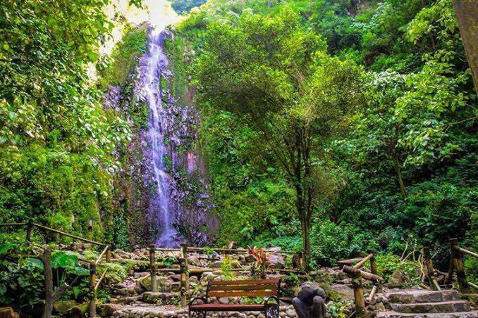 Air Terjun di Tlogo Muncar; Rekomendasi Suara Gemuruh Air yang Sempurna untuk Relaksasi