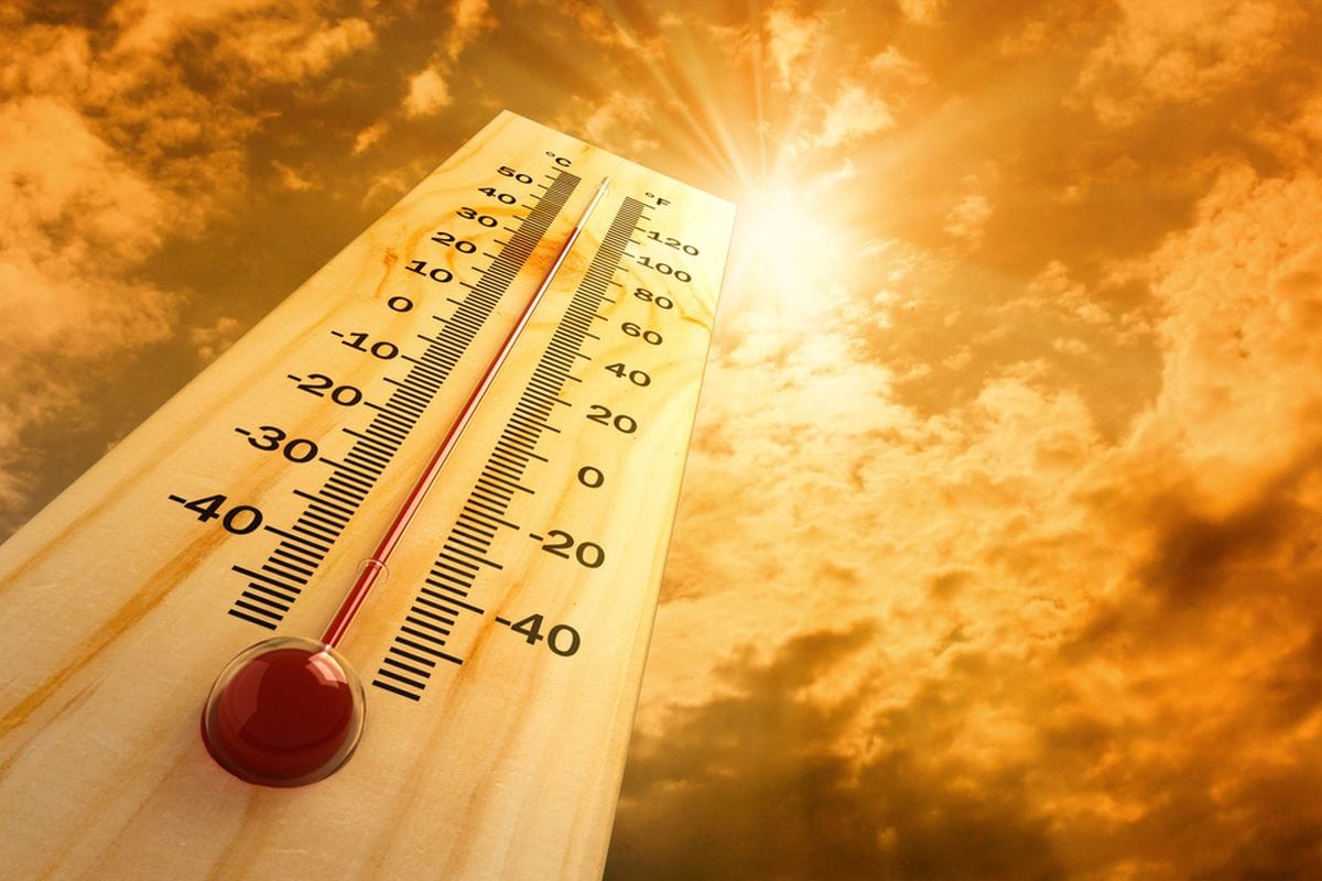 Panas Ekstrem Tak Lagi Sekadar Gerah, Heat Stroke Bisa Berakibat Fatal