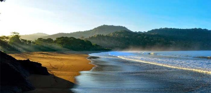 Potret Keindahan Wisata Terbaru 2024 Pantai Bandealit Jember? Surga Tersembunyi di Tepian Samudra Cek Disini