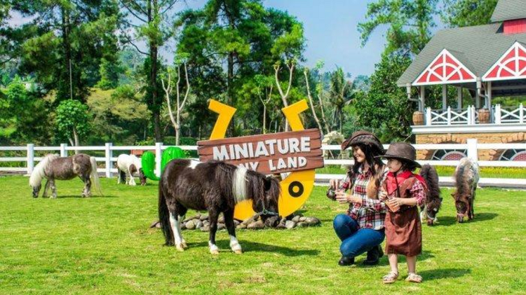 Tidak Hanya Edukasi Tapi Bisa Jadi Tempat Wisata Juga Rekreasi di Bogor, Simak Ulasan Lengkapnya Disini