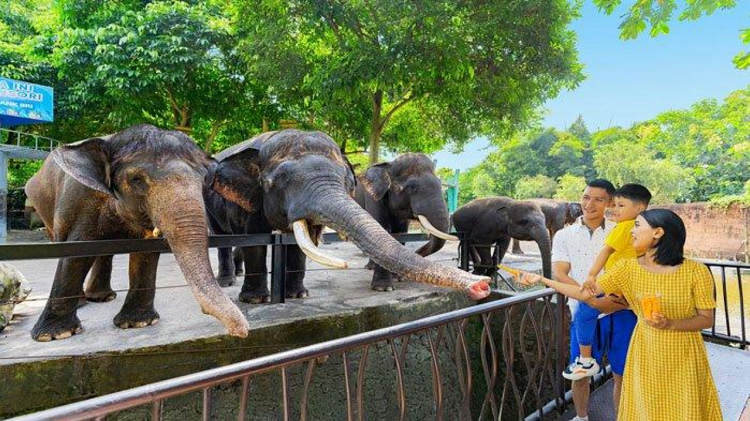 Info HTM Batu Secret Zoo Terbaru, Rekomendasi Liburan Seru dengan Koleksi Satwa Paling Lengkap Berikut Ini