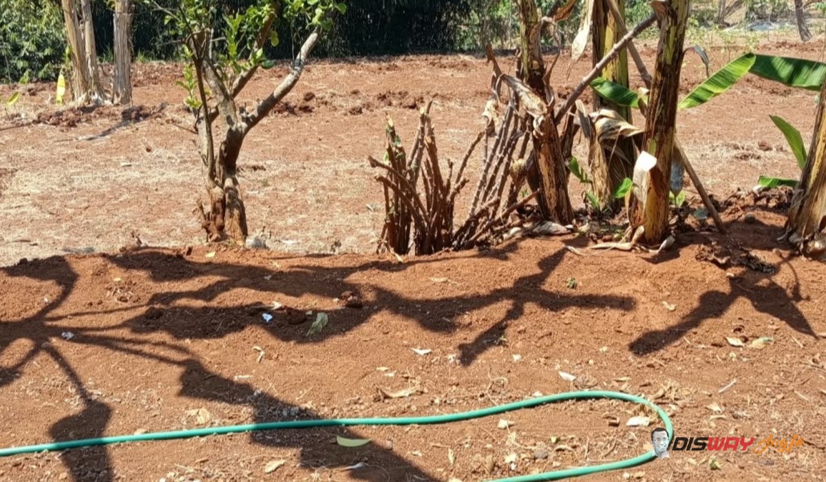 Sumur Bor Kian Dalam Untuk Dapat Air, Gunungkidul Utara Terancam Krisis Air Tanah 