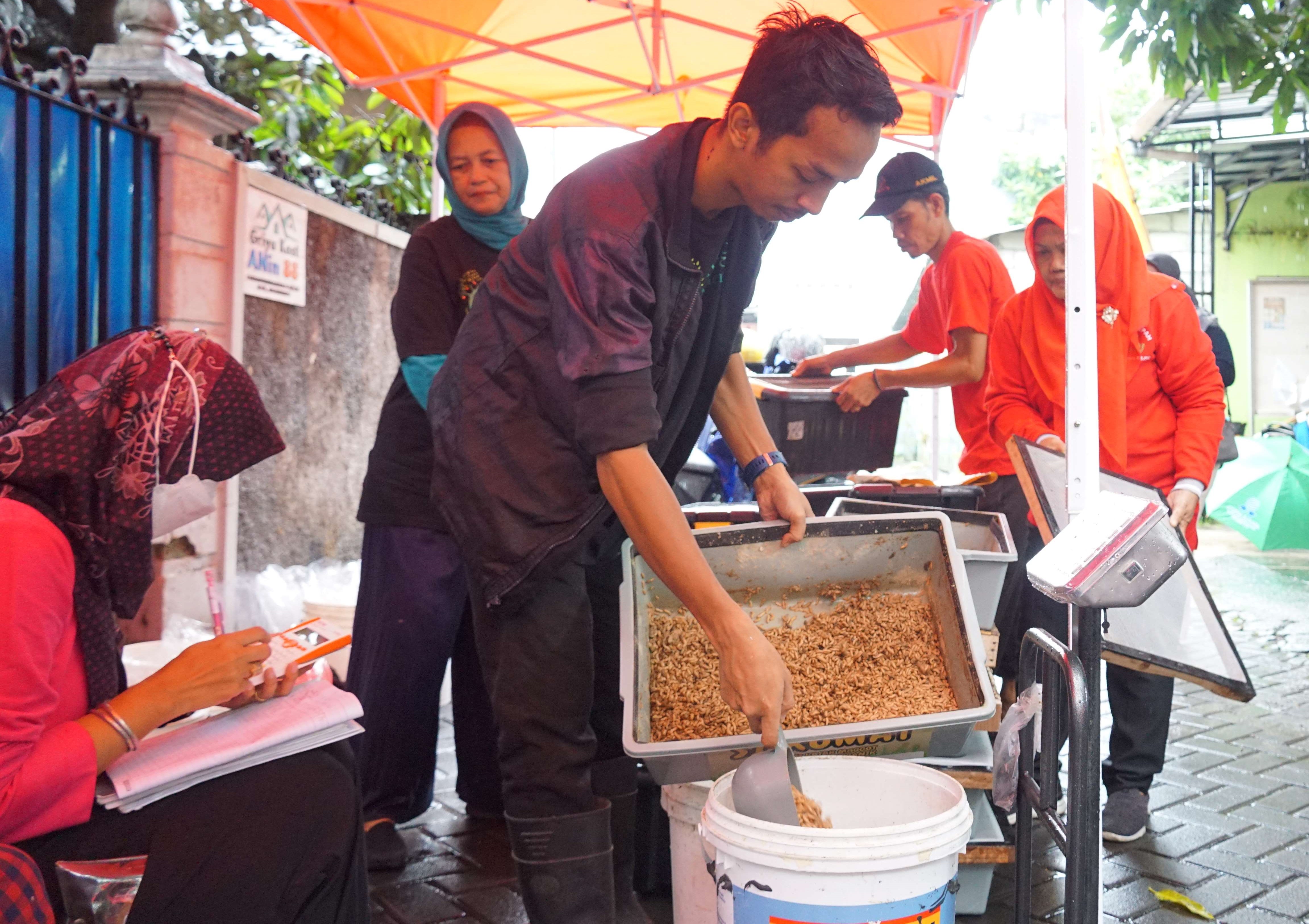Kelola Sampah Organik dengan Maggot, Warga Cokrodiningratan Raup Tabungan