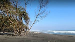 Pantai Goa Cemara Cantik dan Romantis di Bantul, Menjelajah Keindahan Tempat Liburan Akhir Tahun Tersembunyi