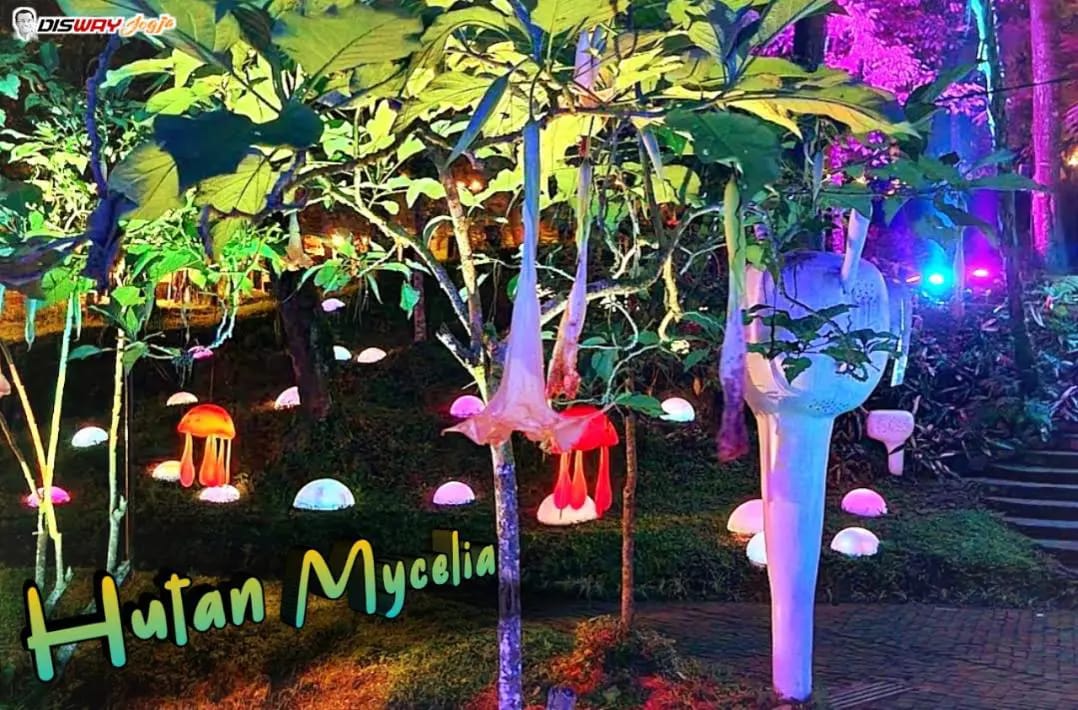 Seru Abis, Wisata Terbaru 2024 Hutan Mycelia Bandung Suguhkan Suasana Gemerlap Malam Romantis Simak Ulasannya
