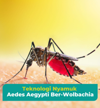 Mengenal Nyamuk Wolbachia, Teknologi Biologis untuk Pengendalian Nyamuk DBD