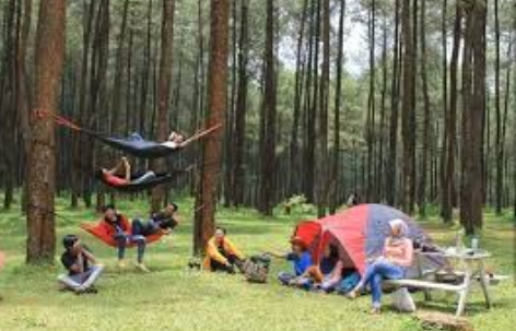 Jelajahi Wisata Terbaru 2024 Prabanlintang Tegal, Paling Hits dan Instagramable Simak Info Lengkapnya Disini