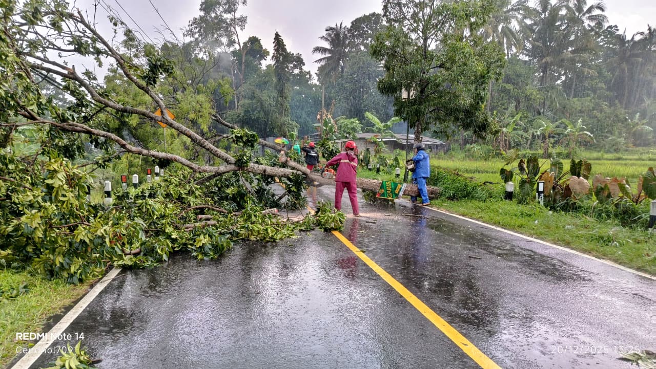 DIY Masih Diguyur Hujan, Longsor dan Pohon Tumbang Terjadi di Berbagai Wilayah