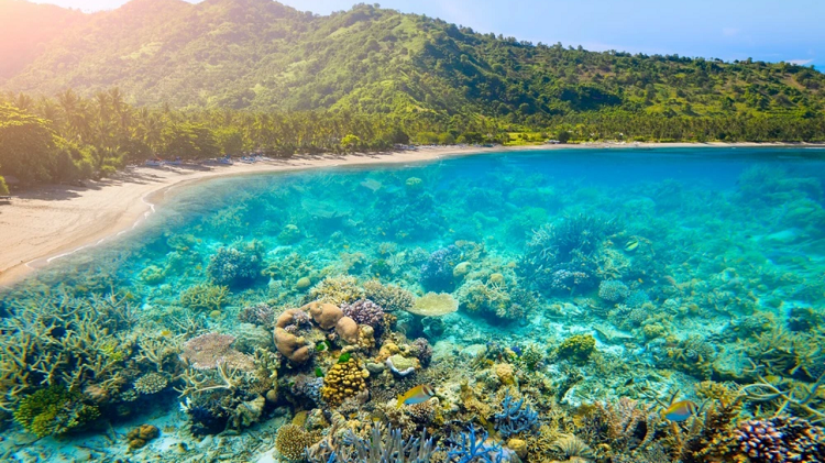 Destinasi Wisata Unggulan di Indonesia Pilihan Sandiaga Uno Paling Wajib Masuk Bucket List Liburan