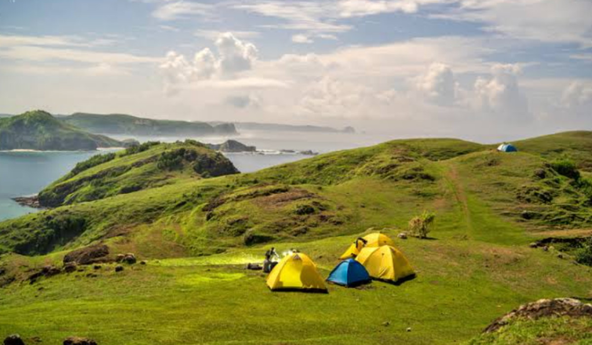 Dari Trekking hingga Savana ala Selandia Baru, Inilah Keindahan Wisata Terbaru 2024 Bukit Merese di Lombok!