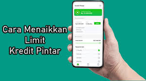 Butuh Limit Besar? Simak Panduan Cara Menaikkan Limit Kredit Pintar Untuk Pengguna Baru