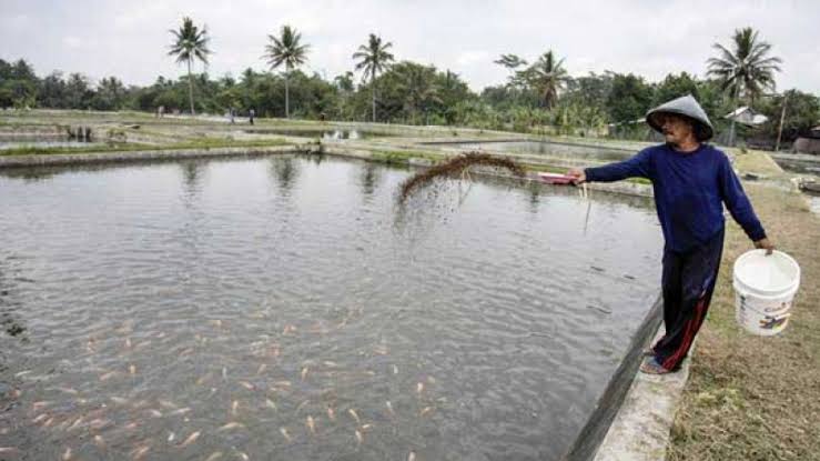 Rp 9 Miliar Digelontorkan, Bantul Jadi Satu-satunya di DIY Bangun Kampung Nelayan Merah Putih