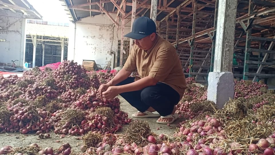 6 Tahun Produksi Bawang Merah Brebes Anjlok, ABMI Sambat Pemerintah