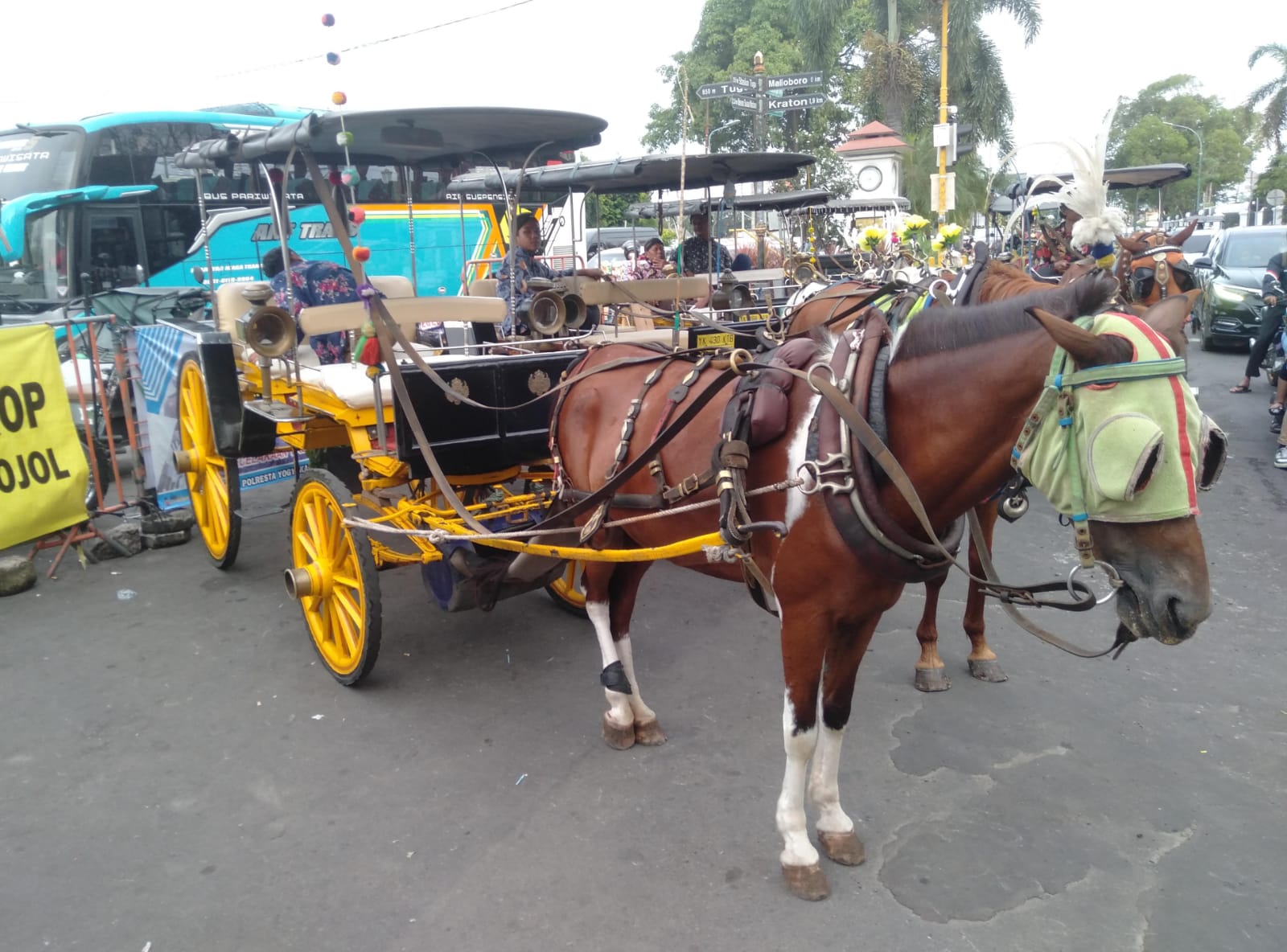 Libur Nataru Padat, Kusir Andong Malioboro Hadapi Macet dan Penurunan Omzet