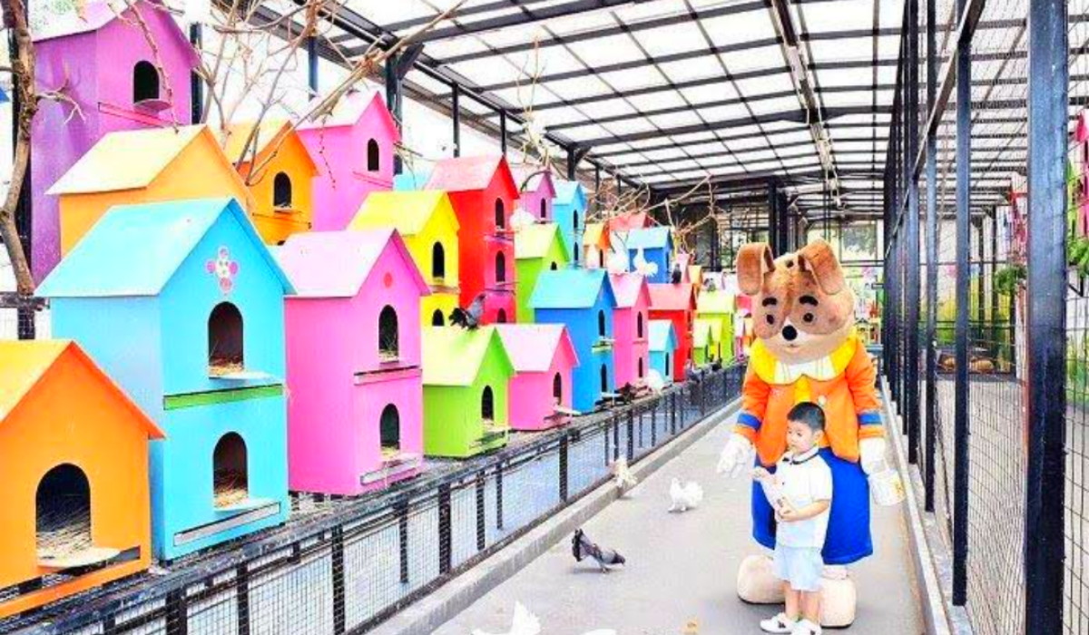 7 Daya Tarik Wisata Terbaru 2024 Rabbit Town Bandung, Cocok Untuk Edukasi si Kecil
