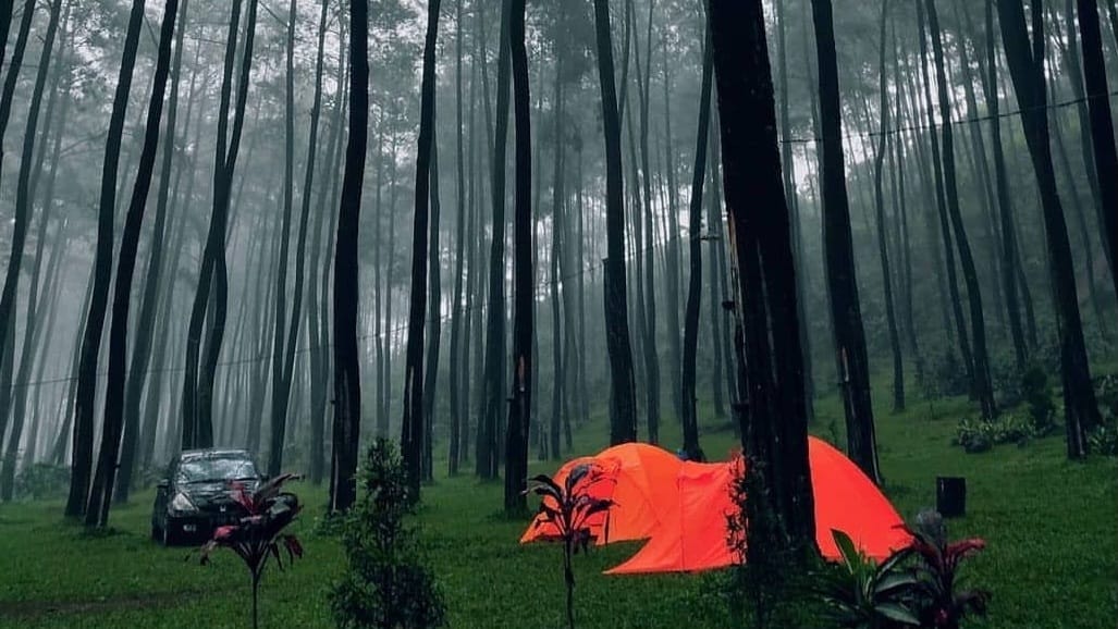Wisata Terbaru 2024 Cocok untuk Camping? Salah Satunya yaitu Bukit Gambangan