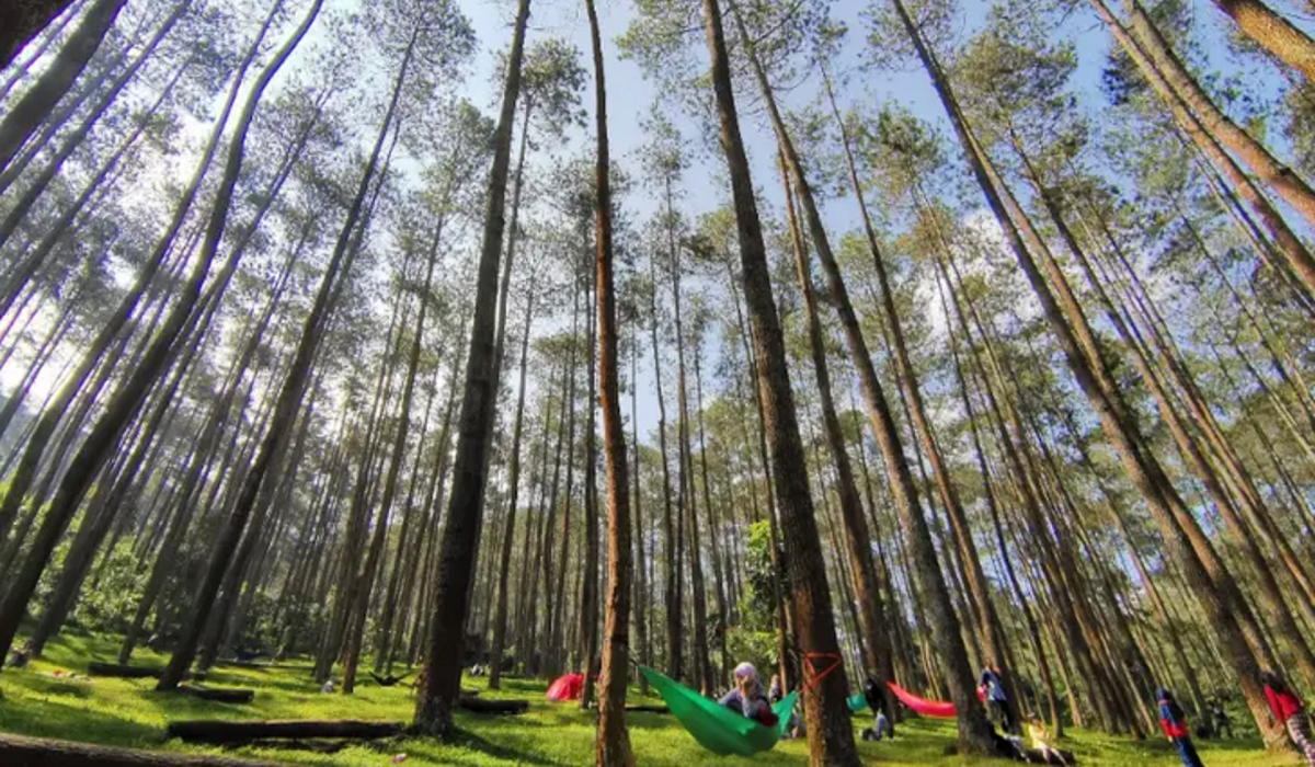 Wisata Seru Batu Kuda Bandung: Aktivitas Camping Seru Bareng Teman untuk Akhir Pekanmu, Cek Disini