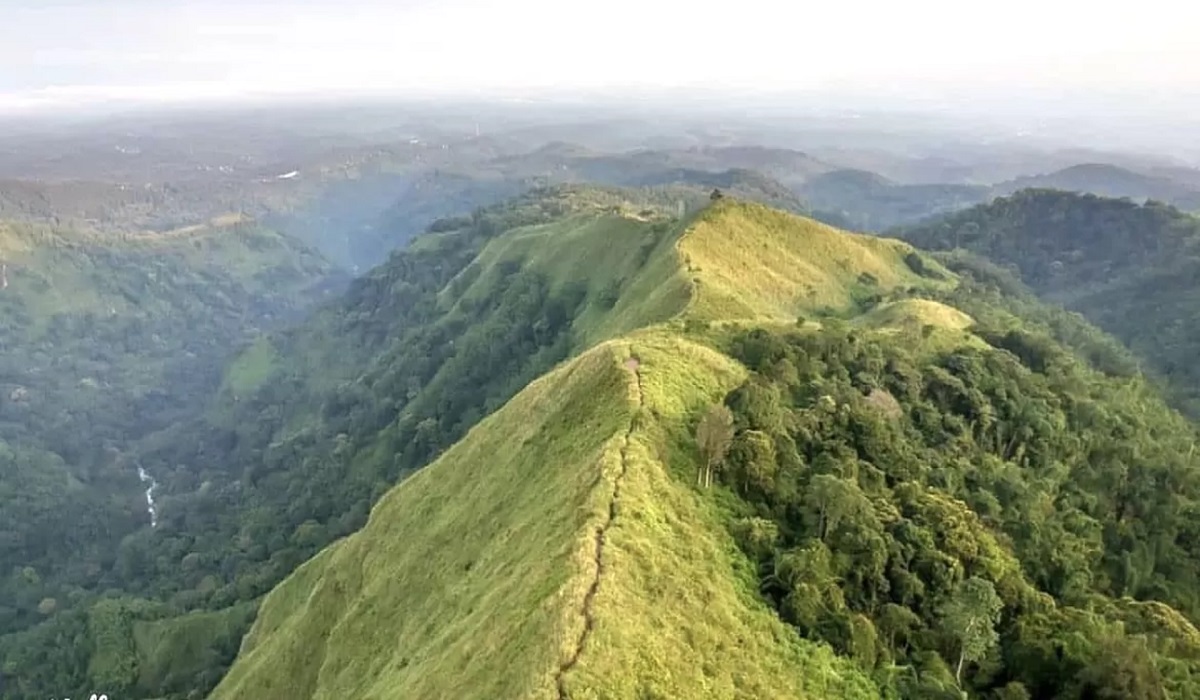 5 Daftar Tempat Wisata Seru di Mojokerto untuk Liburan Kamu dengan Keluarga, Cek Disini