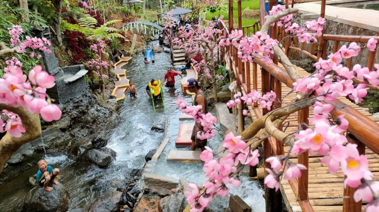 Menjelajahi Tanaka Waterfall Mendapati Julukan Pesona