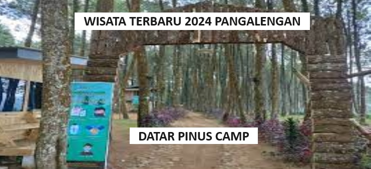 Suka Camping? Wisata Terbaru 2024, Datar Pinus Camp Pangalengan Cocok Untuk Menginap di Alam Bebas! 