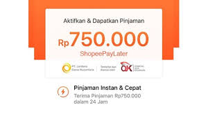 Penasaran Cara Penggunaan Shopee PayLater Untuk Pemula, Agar Gampang Berbelanja Online