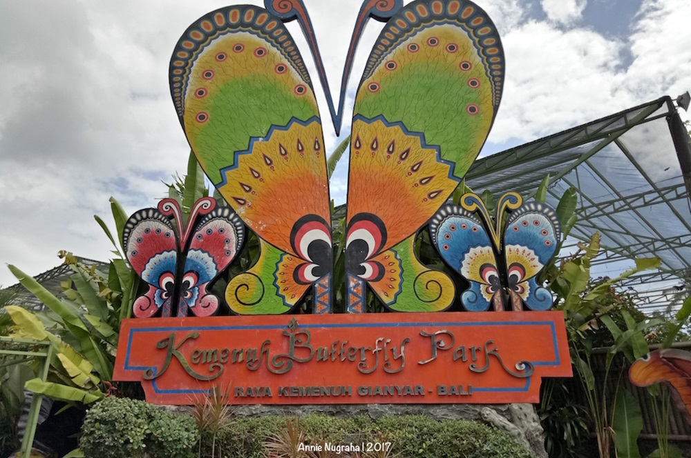 7 Destinasi Wisata Taman Kupu-kupu di Indonesia, Bisa Dikunjungi Bareng Keluarga atau Orang Terdekat