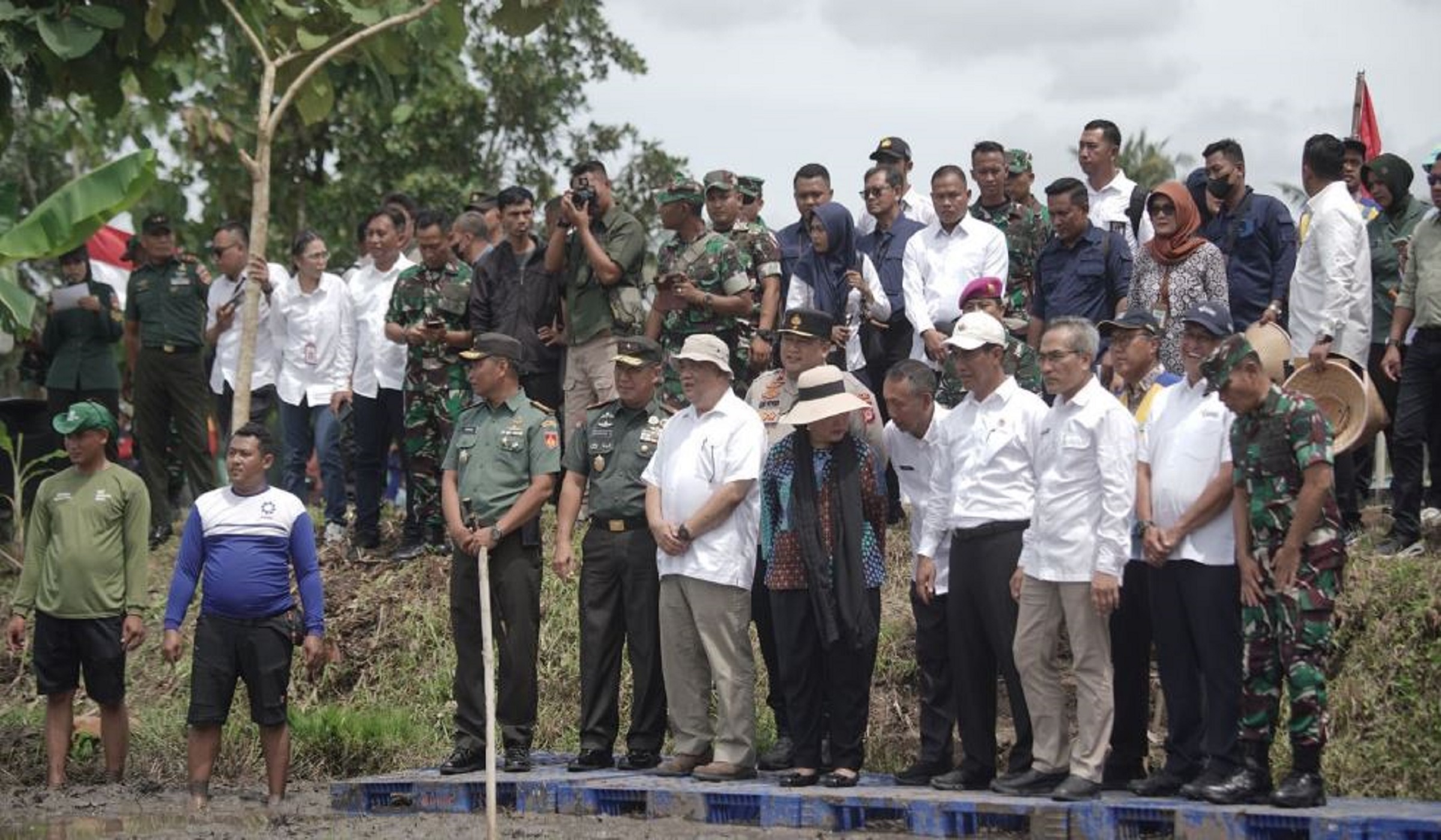 Gerakan Tanam Padi, Upaya Pemda DIY Tentang Komitmen Keberlanjutan Sektor Pertanian di Yogyakarta