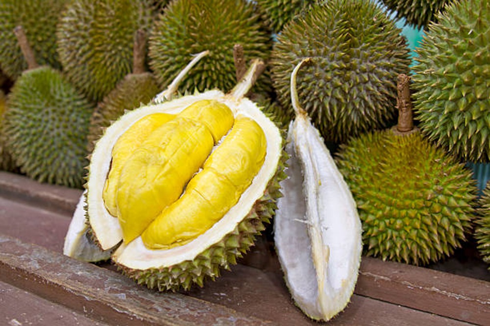 6 Tempat Makan Durian Enak di Jogja Punya Banyak Pilihan, Lidah Dijamin Puas