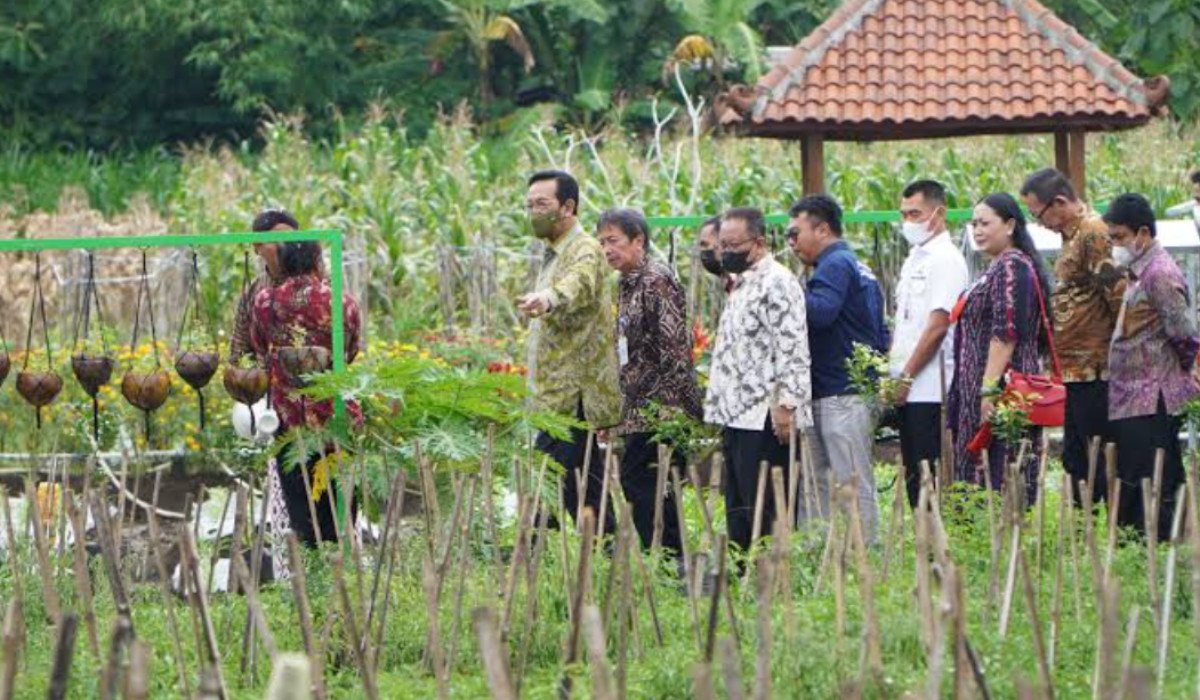 Naikkan Kemandirian Pangan, DKPP Yogyakarta Upayakan Perluasan Program Lumbung Mataraman