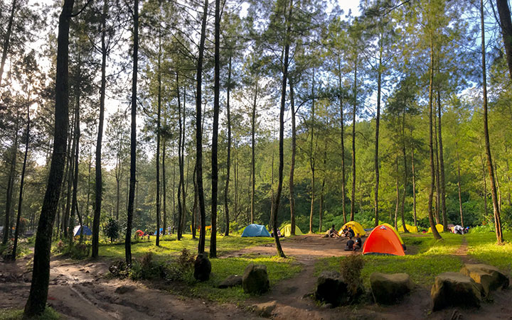 Keseruan Liburan Camping, Wisata Terbaru 2024 Bedengan Malang Jawa Timur