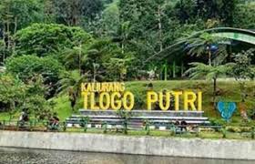 Wisata Tlogo Putri Sejuknya Wisata Alam Kaliurang, Keajaiban Alam Tersembunyi di Kaki Gunung