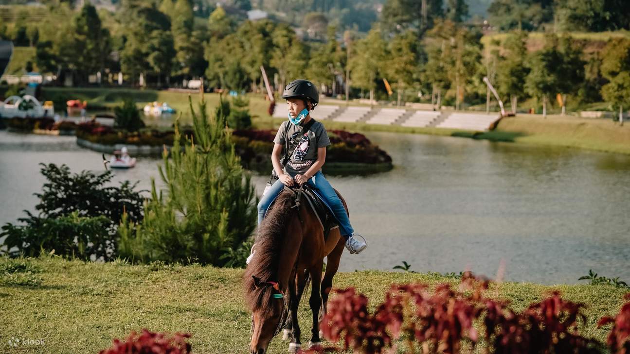 Menikmati Aktivitas Seru Wisata Terbaru 2024 Branchsto Ganesha Lembang, Menunggang Kuda Hingga Panahan