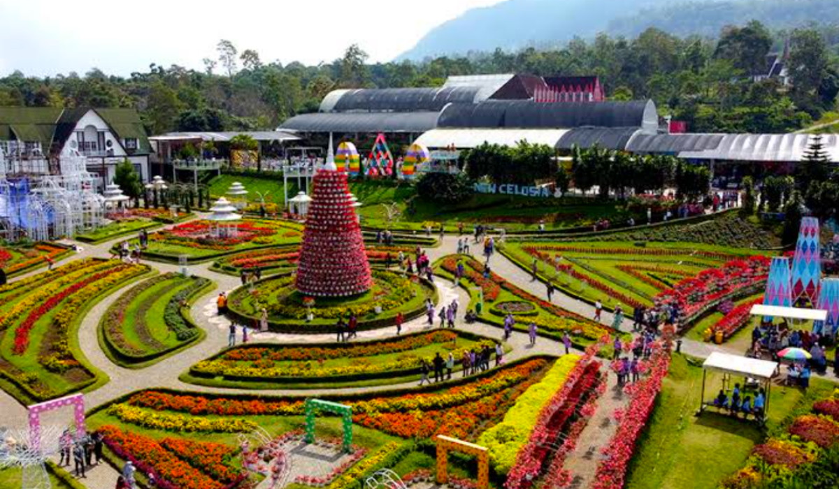 Wisata Terbaru 2024 Taman Bunga Celosia: Simak Daya Tarik, Fasilitas dan Tiket Masuk