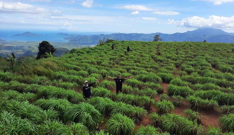 4 Fakta Menarik Wisata Terbaru 2024 Gunung Pesawaran: Sajikan Mitos Dengan Keindahan Alam Mempesona Cek Disini