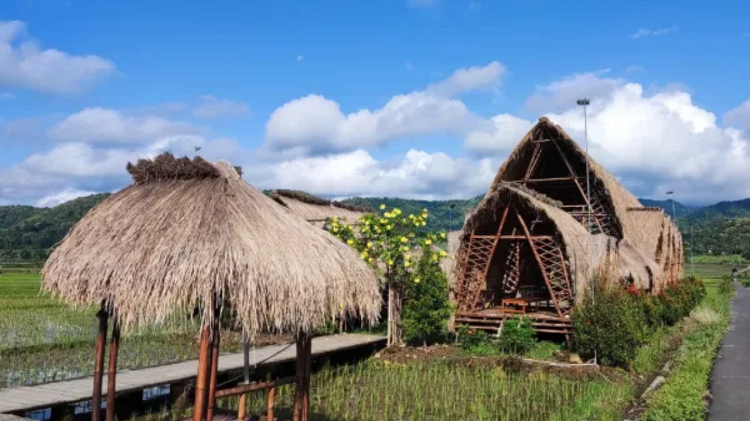 Pilihan Destinasi Kulon Progo Paling Wajib Dikunjungi untuk Melepas Penat, Berikut Informasi Selengkapnya