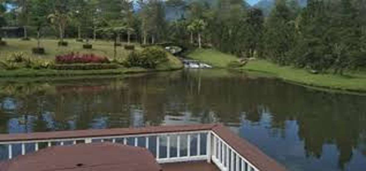 Ramai dan Populer! Wisata Tersembunyi Medan 2025, Hits Paling Seru Tak Boleh Terlewatkan 