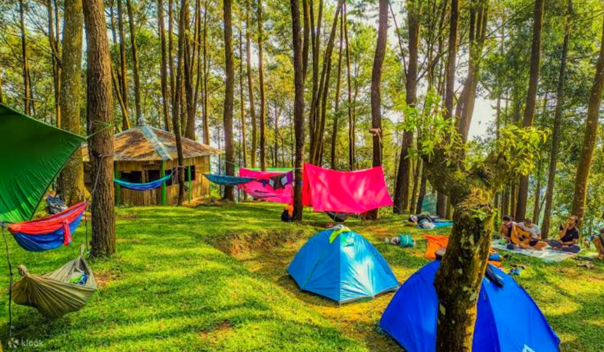 Hobi Camping? Inilah 3 Destinasi Wisata Terbaru 2024, Glamping Paling Populer di Kuningan