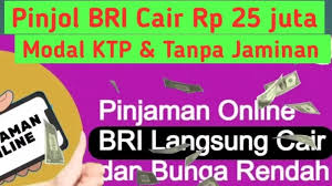 Butuh Dana 25 Juta? Simak Daftar 8 Aplikasi Pinjol Limit Besar, Tanpa Jaminan Dan Mudah Cair  