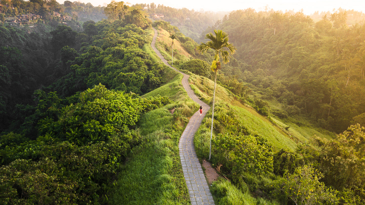 Destinasi Ikonik di Ubud Eksklusif Mulai Dari Olahraga Sampai Warisan Sejarah