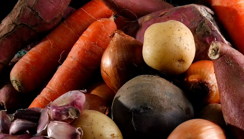 5 Makanan Cepat Rusak Jika Dimasukkan Dalam Merek Kulkas Terbaik