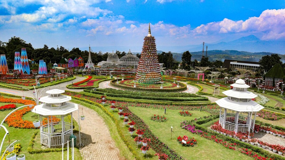 Explore Keindahan Taman Bunga Celosia, Destinasi Wisata Terbaru 2024 Hits Semarang