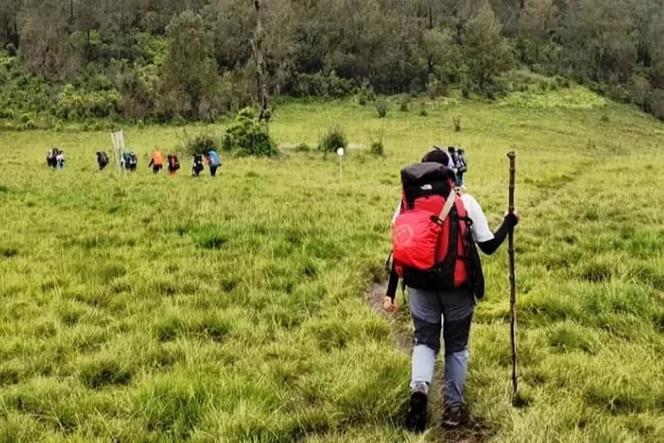 Hiking ke Wisata Terbaru 2024 Gunung Argopuro: Sajikan Jalur Pendakian Terpanjang Ada di Jawa, Cek Disini