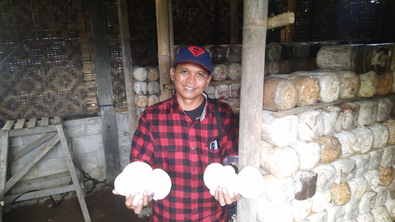 Limbah Serbuk Gergaji Disulap Jadi Energi Biomassa, Produktivitas Baglog Karangsari Naik Dua Kali Lipat