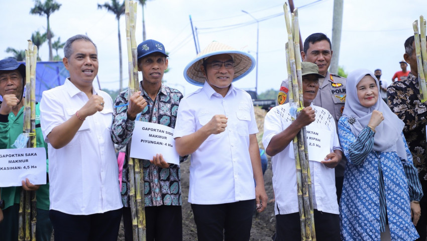 Pemerintah Dorong Produktivitas Tebu di Bantul, Petani Dapat Subsidi Hingga Rp14 Juta per Hektar